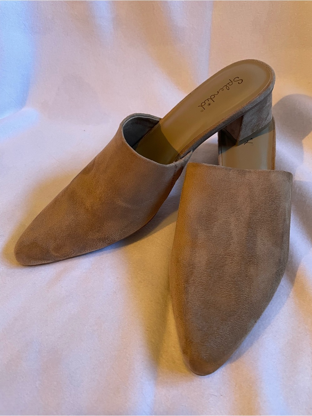 Splendid Taupe Suede Pointed Toe Block Heel Mules
